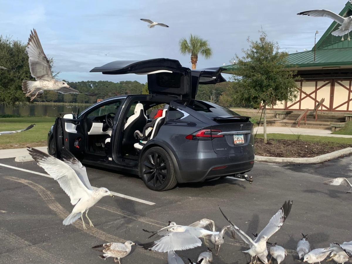 Econo Lodge Choice Hotels I 95 Savannah Gateway 24 Hour Fitness Center On Site Guest Laundry On Site Perkins Restaurant Georgetown Eksteriør billede